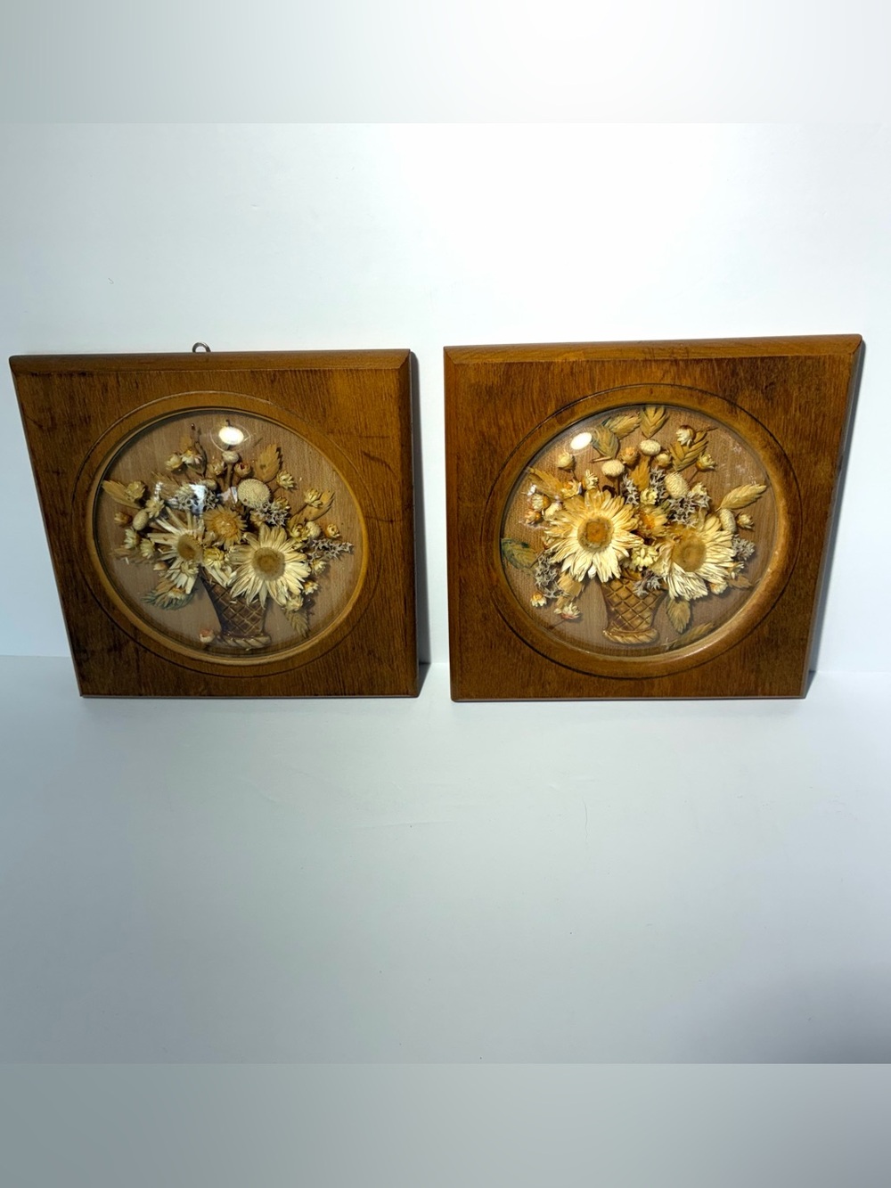 2 Vintage Convex Domed Oval Wall Art Dried Flowers 6x6” MCM Loose Pedals